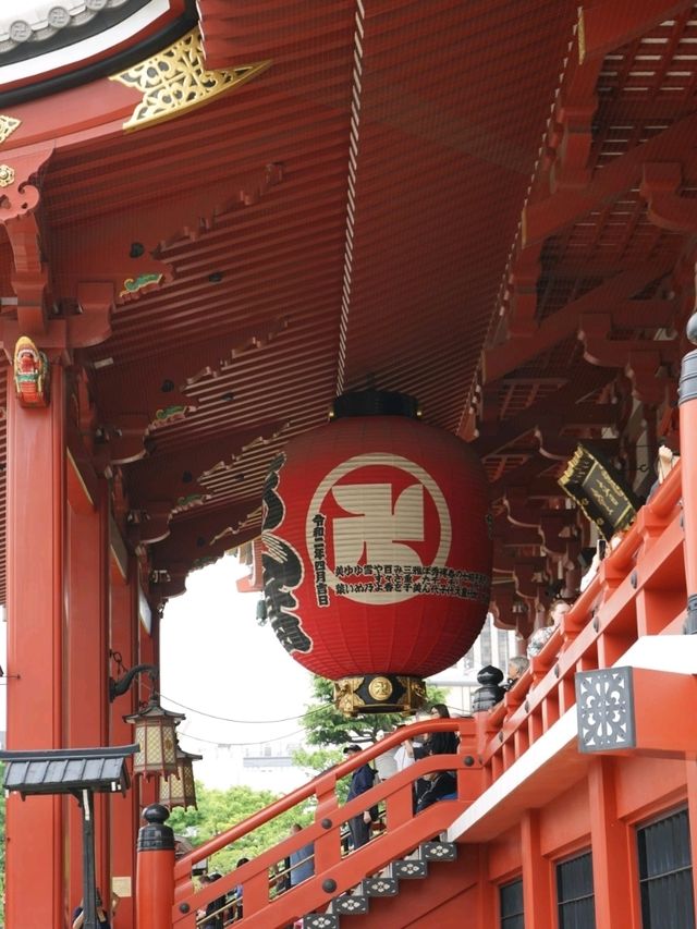 【東京淺草寺】🎎🎏⛩️雷門「大燈籠」