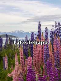 Lake Tekapo
