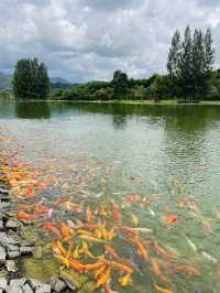 Hinoki land จ.เชียงใหม่