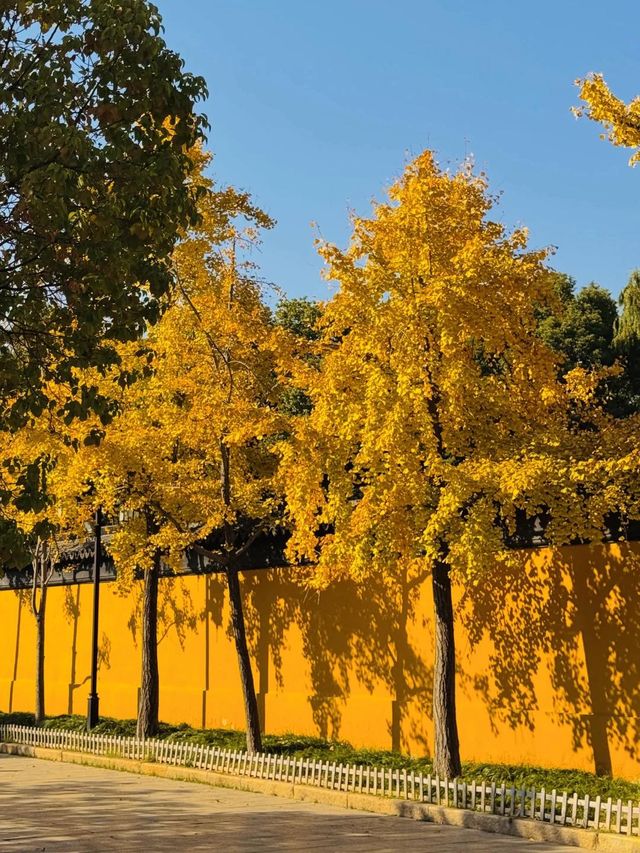 Tiger Hill (Huqiu Shan), Suzhou in Autumn