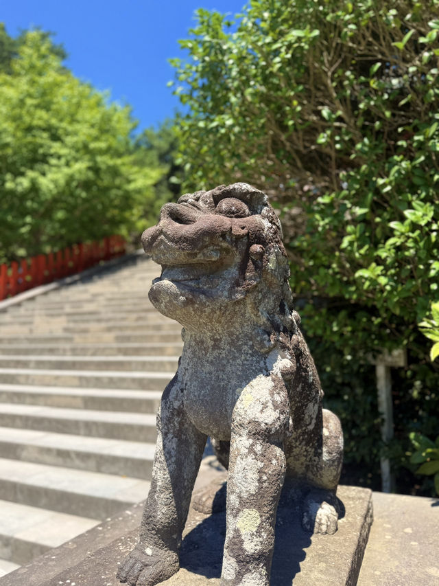鐮倉｜不只櫻花季絕美 在荷花最美季節造訪鶴岡八幡宮