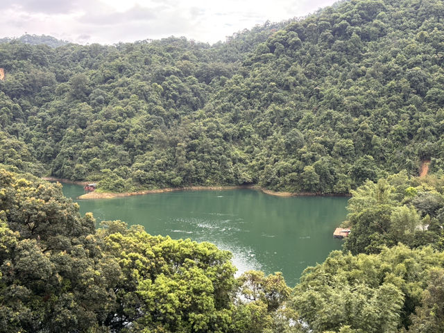 Chillin’ at 鼎湖山: Scenic Vibes & Insta-Worthy Spots 📸🌳