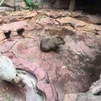 親子必玩!長鹿旅遊休博園
