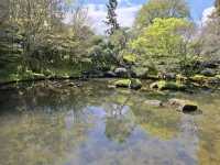 Hamilton Gardens