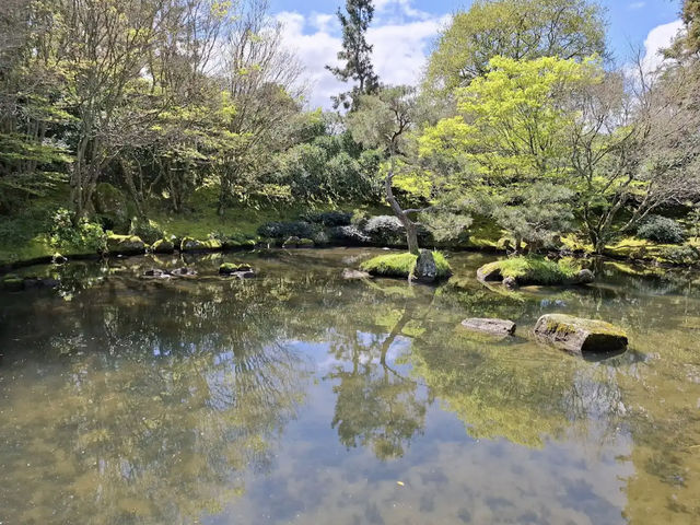 Hamilton Gardens