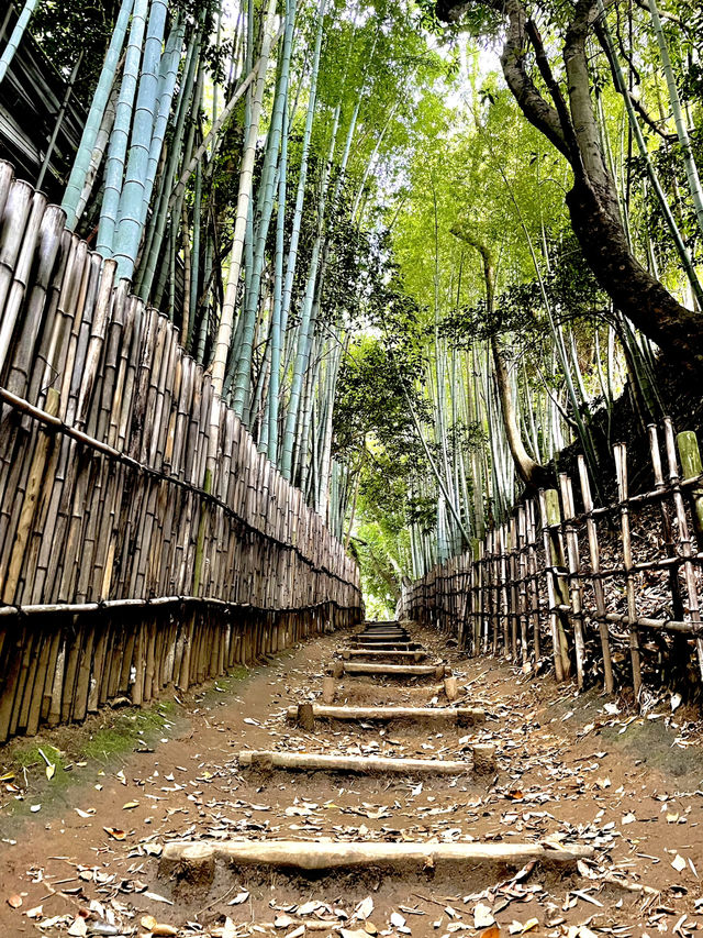 歴史ロマンを感じる竹林の小道