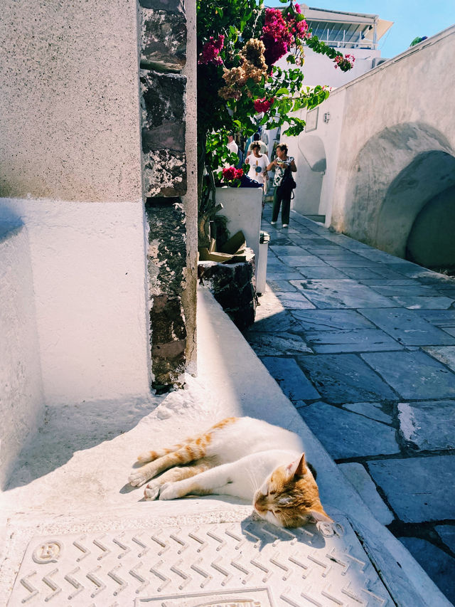 サントリーニ島　新婚旅行🇬🇷