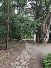 THE HOKKAIDO SHRINE.