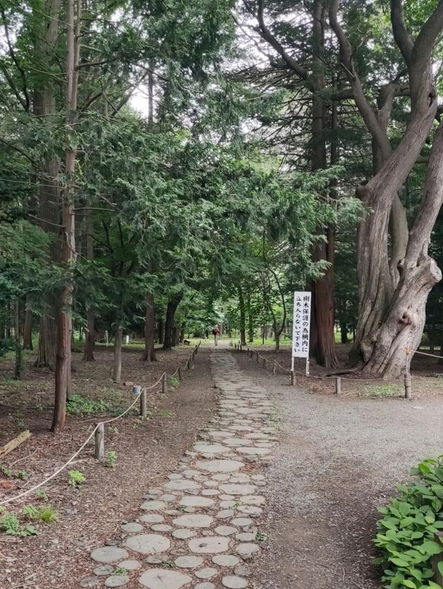 THE HOKKAIDO SHRINE.