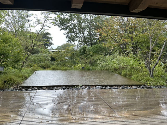 生簀ランチから牧野植物園へ🌿　高知旅