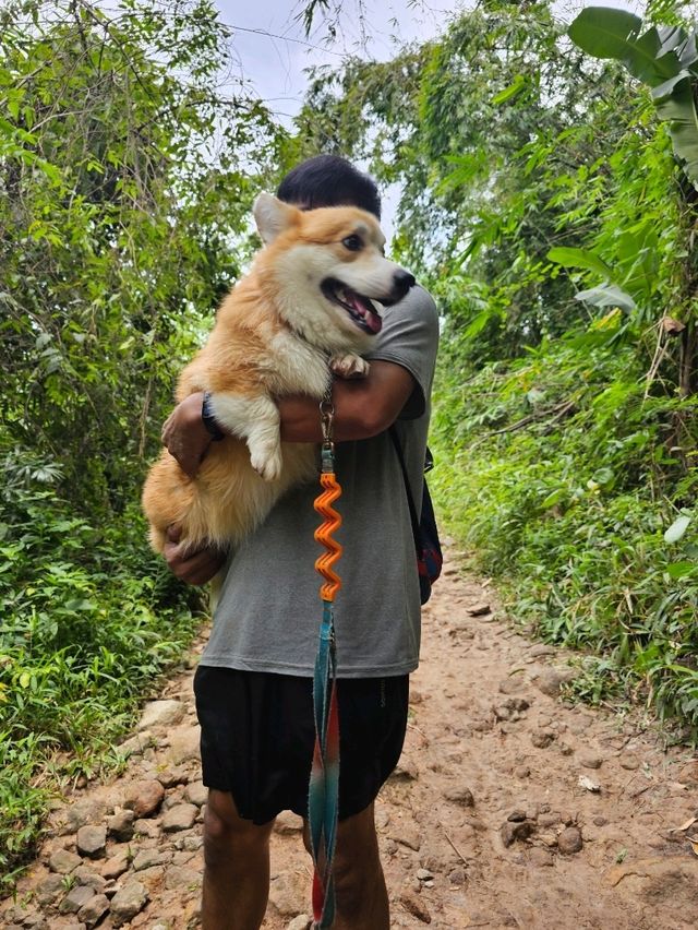 น้ำตกสลัดได | นครนายก น้ำตกสลัดได | นครนายก