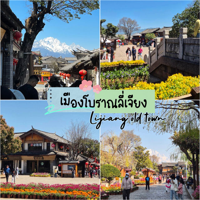 1 Day 1 Night at Lijiang Old Town 🏯✨