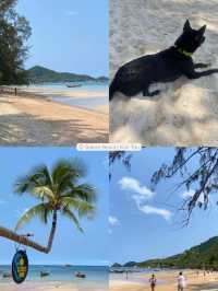 📍8 Places to visit in Koh Tao