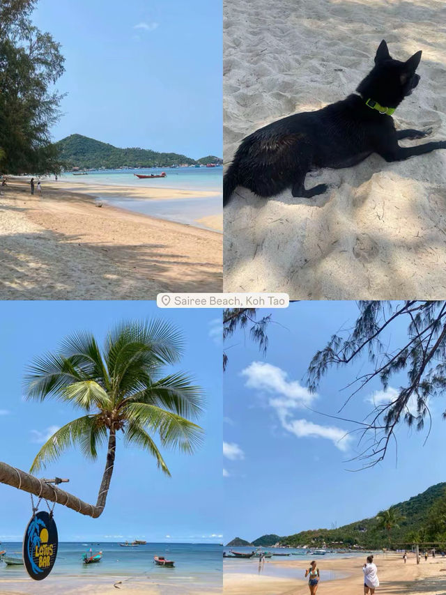 📍8 Places to visit in Koh Tao