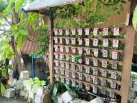 atarimea อาตาริเมะ อุดรธานี
