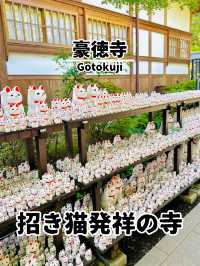 【世田谷】🐈幸運の招き猫だらけ✨
