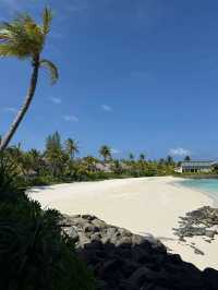 Hilton Maldives Amingiri Resort & Spa, Tropical Luxury with a Personal Touch