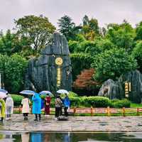 Nature’s Sculpture: Shilin Stone Forest
