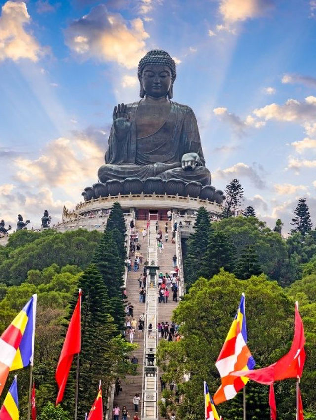 Sunny Dharma Bliss🌞 Sunny Dharma Bliss🌞