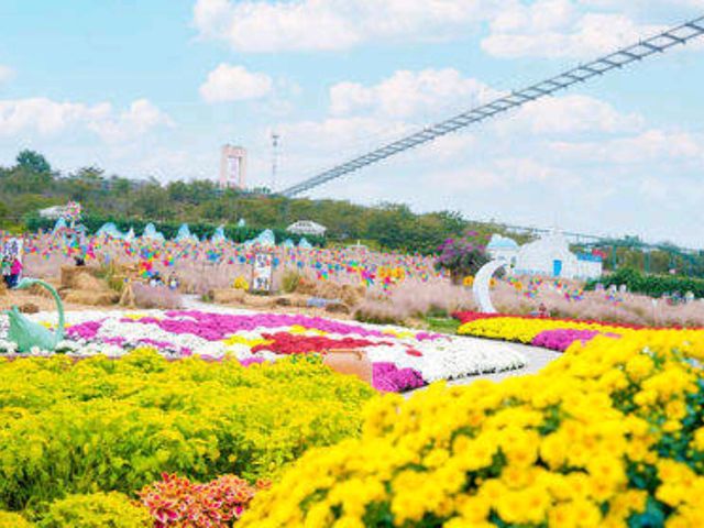 最夢幻花海色彩繽紛旅人必去💕成都漫花莊園