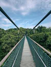 新加坡 4日3晚 游