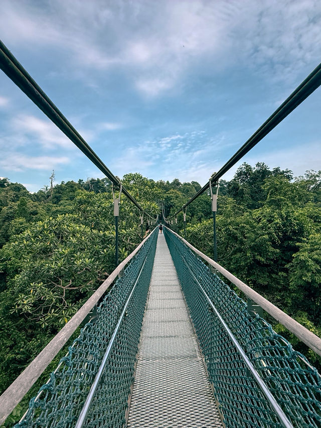 新加坡 4日3晚 游 新加坡 4日3晚 游