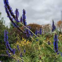 Claude Monet's House and Gardens - Giverny