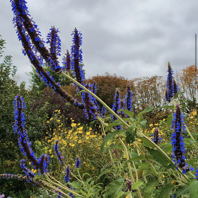 Claude Monet's House and Gardens - Giverny