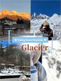 Yulong Snow Mountain : Golden Glow & White Snow
