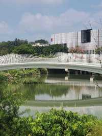 🏞️“Jinan Lake Park Pavilion – A Peaceful Gem by the Water”