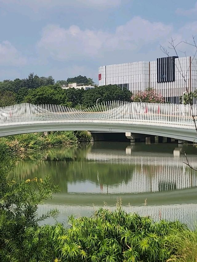🏞️“Jinan Lake Park Pavilion – A Peaceful Gem by the Water”