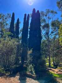 🌄 Kalamunda National Park – Nature’s Hidden Retreat Near Perth
