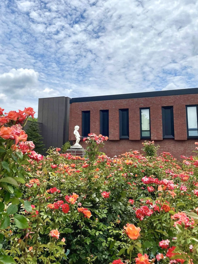 🌸 Ishibashi Cultural Center — A Garden of Art, Music, and Flowers in Kurume