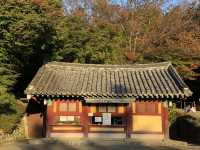 🛕 천년의 시간이 머문 곳, 경주 불국사
