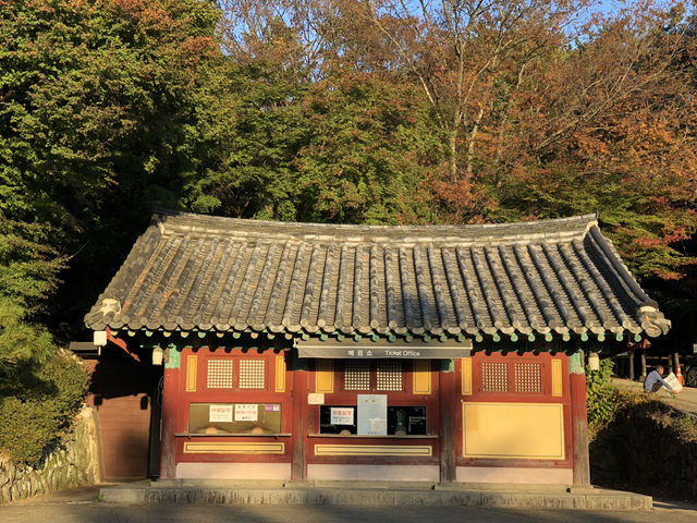 🛕 천년의 시간이 머문 곳, 경주 불국사