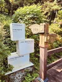 A Scenic Walk with History and Art