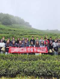 🍃 วันนี้เรามา “เก็บชา” กันที่ 福泉山茶山