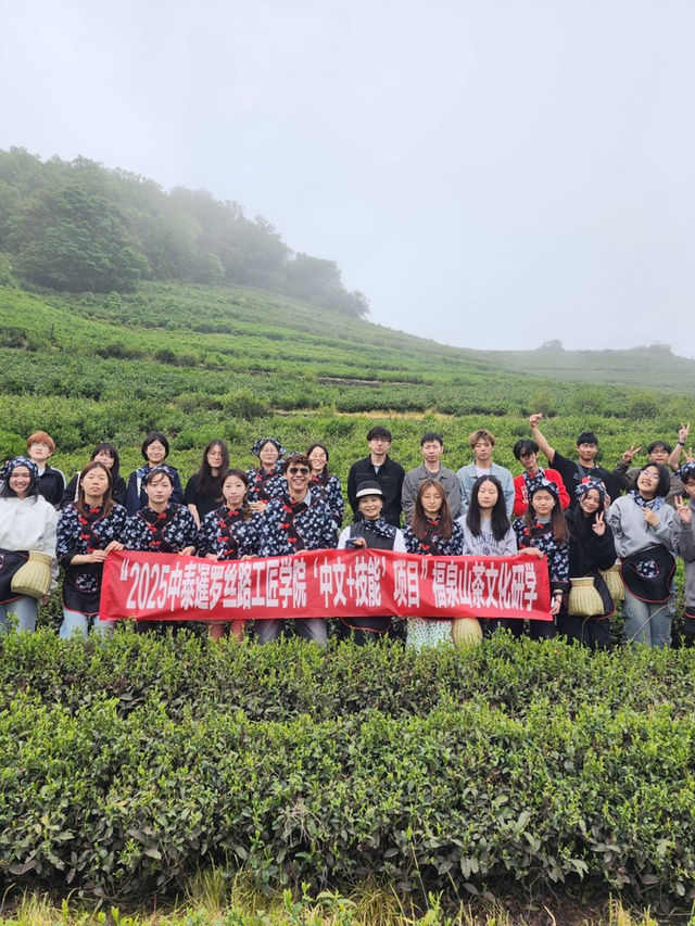 🍃 วันนี้เรามา “เก็บชา” กันที่ 福泉山茶山