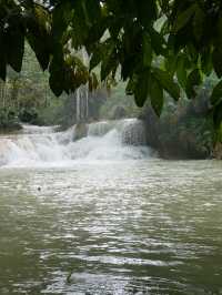 【ラオス🇱🇦】クアンシーの滝