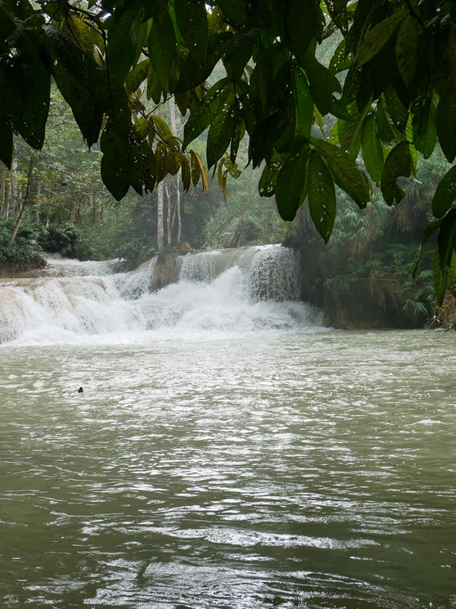【ラオス🇱🇦】クアンシーの滝