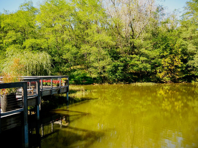 The Soloist's Urban Oasis: A Stroll Through Lauritzen Gardens