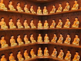 군산의 대표 절 동국사 가이드