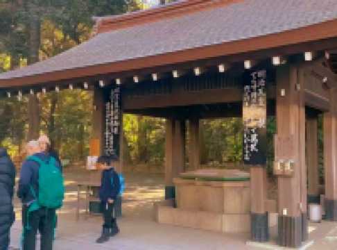A Peaceful Escape in the Heart of Tokyo — Meiji Jingu Shrine
