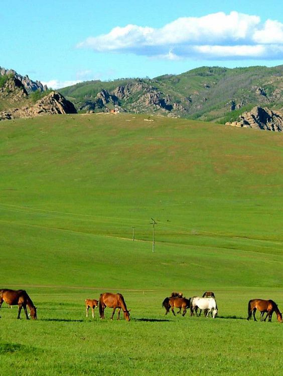 Gorkhi-Terelj National Park 