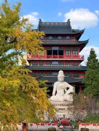 “Whispers of Serenity: The Zen Paradise of Nanjing”