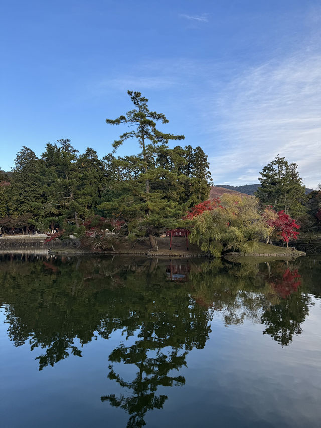東大寺highly recommended