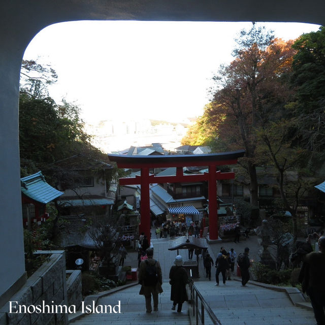  🌊 รีวิวเกาะเอโนชิมะ (Enoshima) 