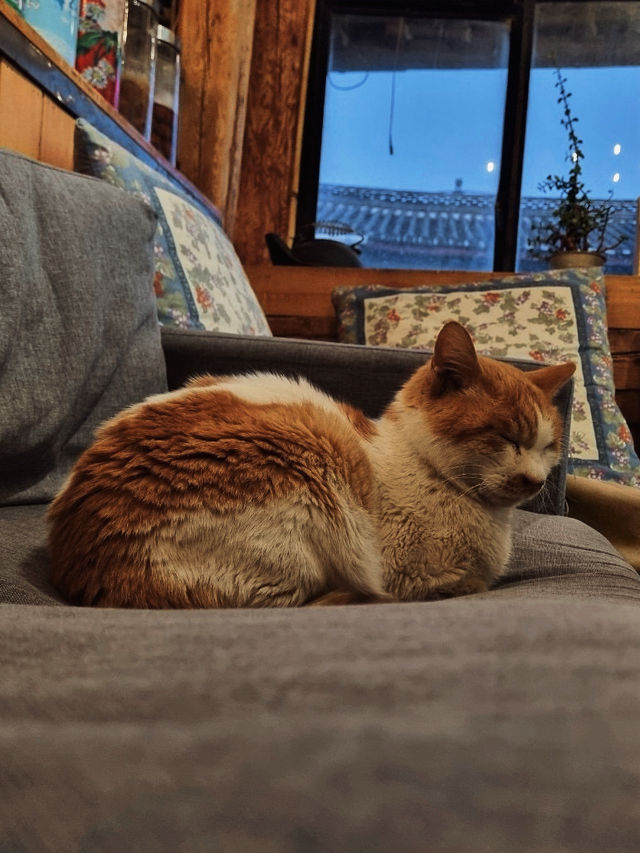 7 Sea : คาเฟ่ & บาร์สุดฮอตในเมืองโบราณไป่ซา