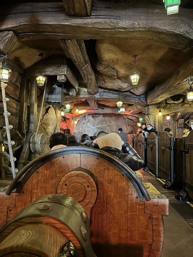 🏰上海迪士尼功略♡親身遊玩體驗~ 🏰上海迪士尼功略♡親身遊玩體驗~