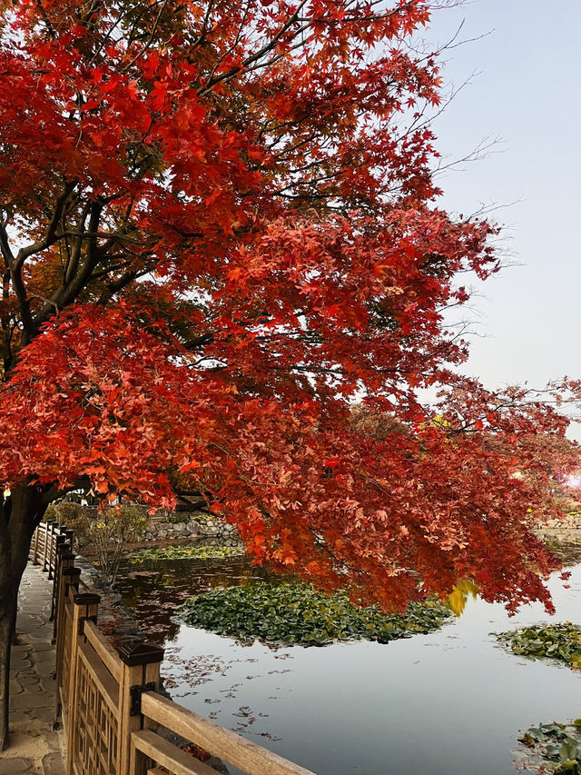 경주여행 이색사진 찍기